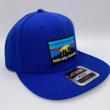 Load image into Gallery viewer, Naturally N’awlins Flexfit Flatbill Hat
